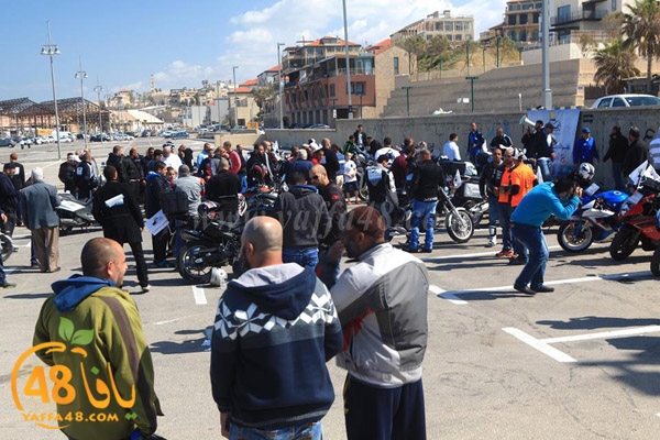 iste3dadat3j (11).jpg